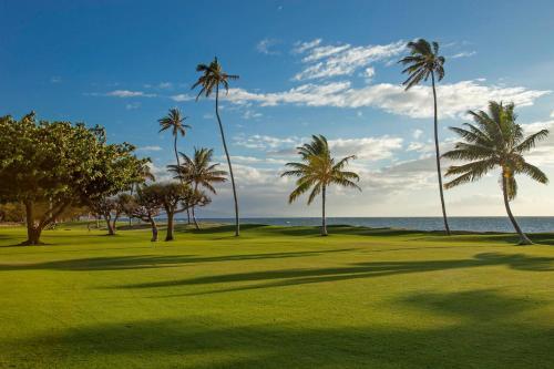 Maui Sunset #a-117