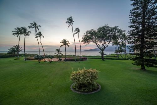 Koa Lagoon #206