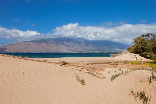 Kihei Bay Vista #d-202