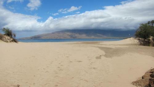 Kihei Bay Vista #c-101