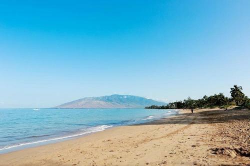 Maui Vista #2-222