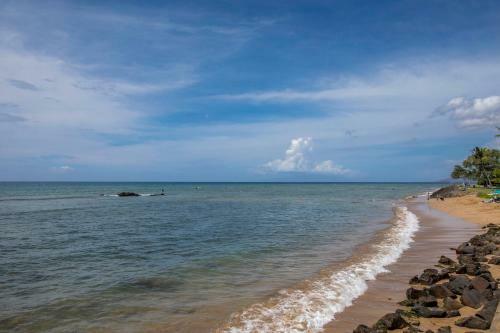 Island Surf #502