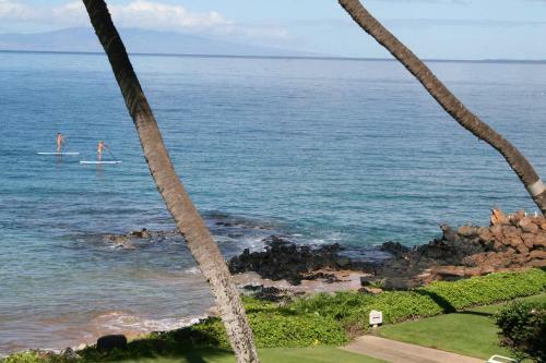 Hotel Kamaole Nalu #304 By Ali'i Resorts