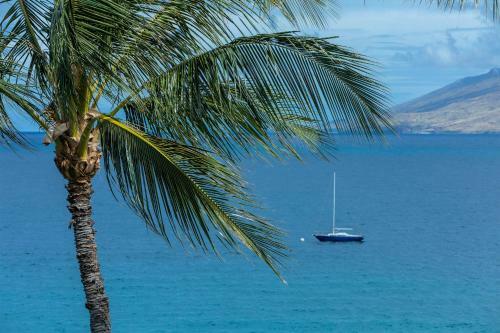 Royal Mauian #410