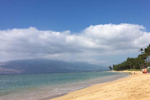 Waiohuli Beach Hale #d-124