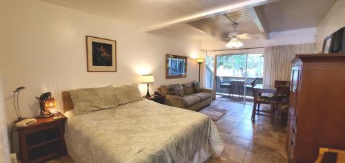Kihei Bay Surf Studio #123