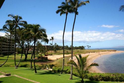 Hotel Menehune Shores #112 By Ali'i Resorts