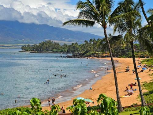 Hotel Royal Mauian #104 By Ali'i Resorts