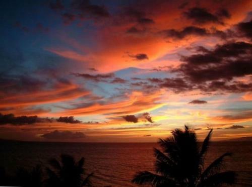 Hotel Royal Mauian #104 By Ali'i Resorts