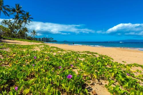 Maui Vista #3-218