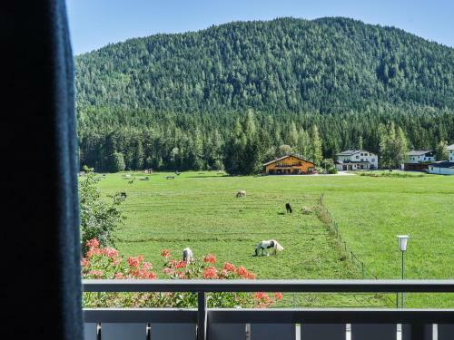 Hotel Apartmenthaus - Caf� - Zugspitze