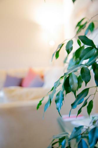 Apartamento Haus Reindl