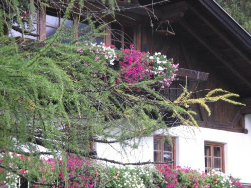 Bed & Breakfast Boderhof
