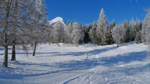 Apartamento Fiakerhof