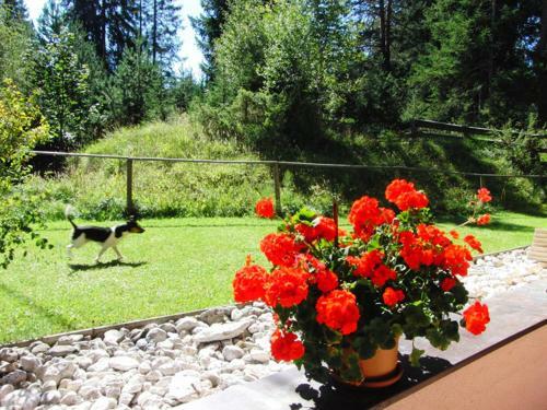 Apartamento Haus Christina Und Drescher