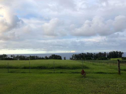 Apartamento White Haven In Pepeekeo