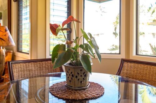 Apartamento Hanalei Bay Villas #36 Condo