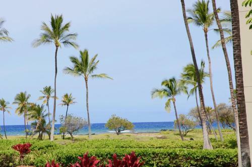 Mauna Lani Terrace C102