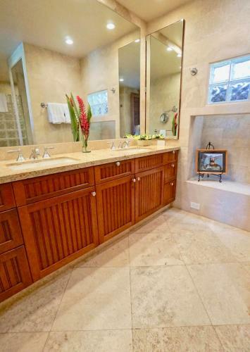 Mauna Lani Terrace C102