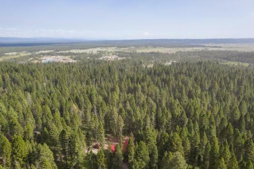 Lodgepole Lookout By Kabino