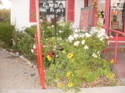 Hostal Center Street Cottage