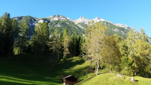 Apartamento Ferienwohnungen Rauth