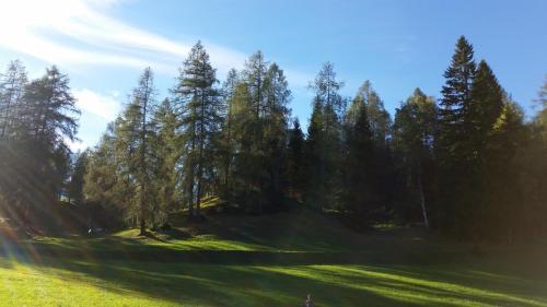 Apartamento Ferienwohnungen Rauth