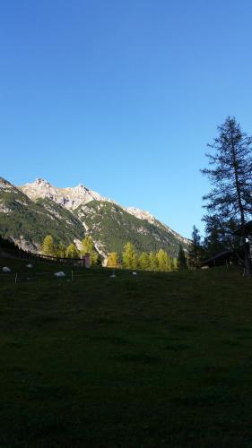 Apartamento Ferienwohnungen Rauth
