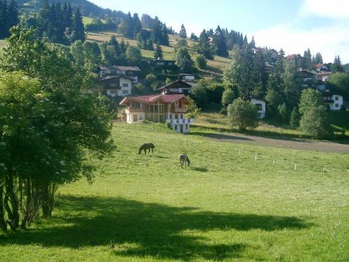 Hostal Pension Steinerhof
