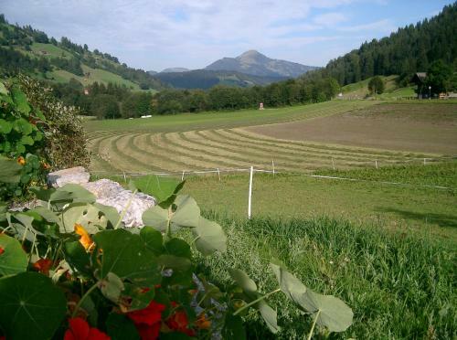 Hostal Pension Steinerhof