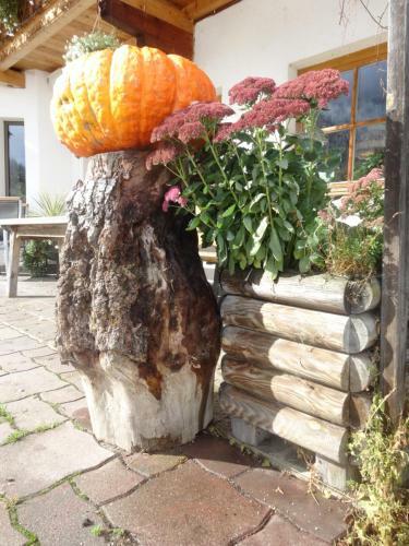 Hostal Pension Steinerhof