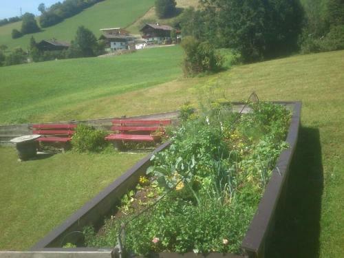 Hostal Pension Alpenstern