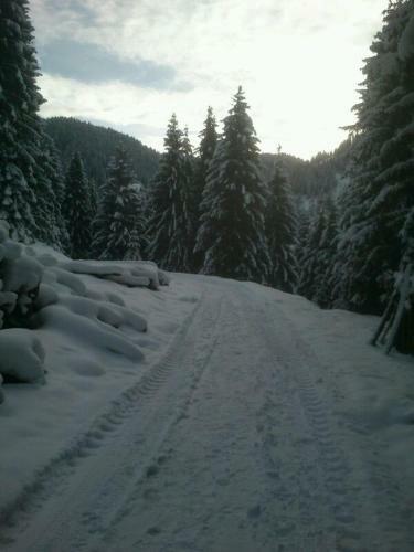 Hostal Pension Alpenstern