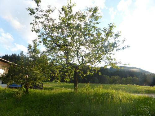 Hostal Pension Schwaighof