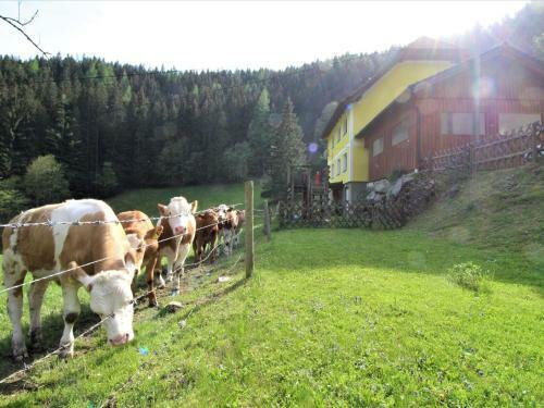 Villa Holiday Home Krechen Alm