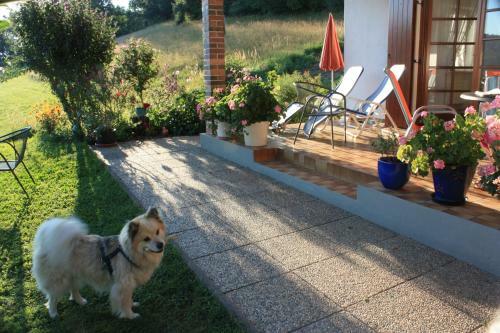 Apartamento Haus Christiane