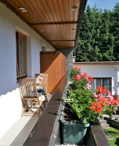 Hostal Pension Kitty