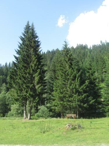 Apartamento Schwarzenbacher