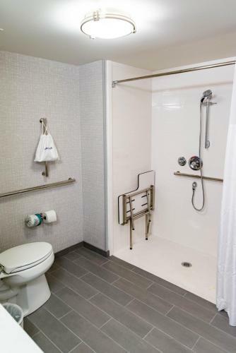 Hotel Hampton Inn Paris Il, Il