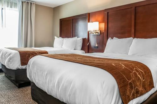 Hotel Comfort Suites Rensselaer