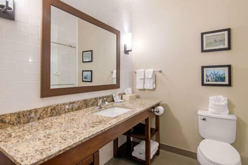 Hotel Comfort Inn & Suites - Independence