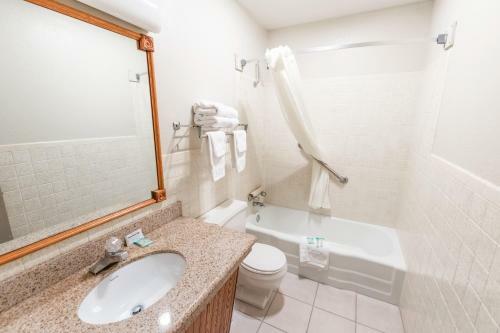 Eleven Boutique Hotel Llc
