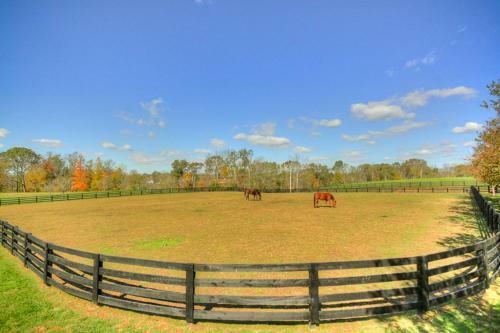 Bed & Breakfast Bluegrass Country Estate
