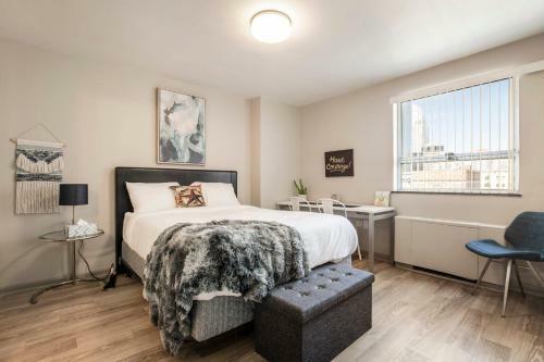 Two Cozysuites Modern Downtown Apartment