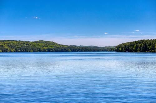 Loving Life On Long Lake