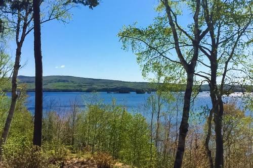 Moosehead Lodge