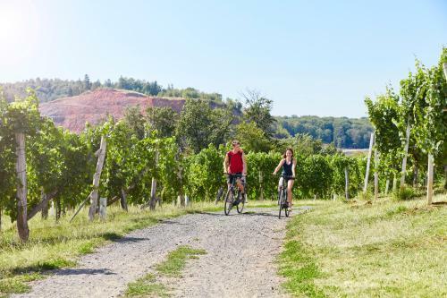 Hotel-restaurant Sch�ne Aussichten