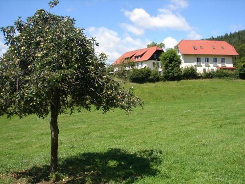 Hostal Landhaus Strussnighof