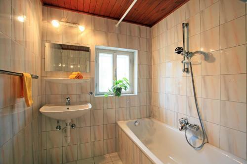 Ferienhaus Hinterebenhub