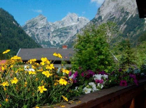 Apartamento Ferienhaus Rosi